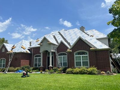 Asphalt Shingle Roof Replacement Services